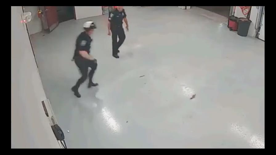 VÍDEO: Policías se enfrentan con una ardilla que “tomó por asalto” una comisaría en Estados Unidos 