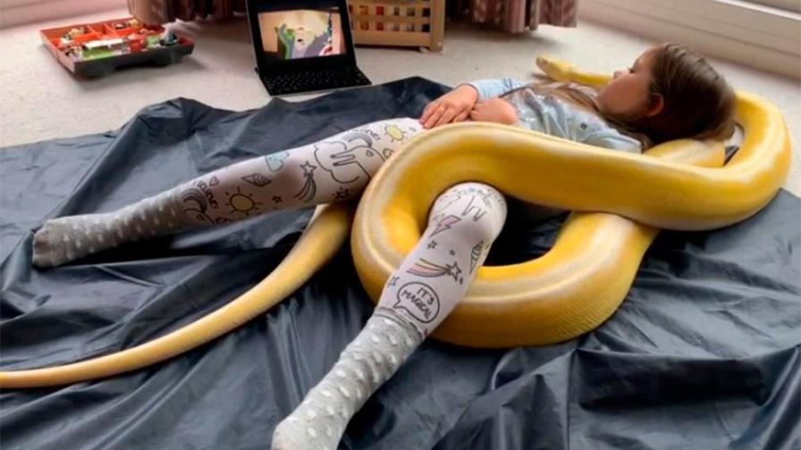 Niña estremece redes sociales al tener como mascotas a dos animales peligrosos