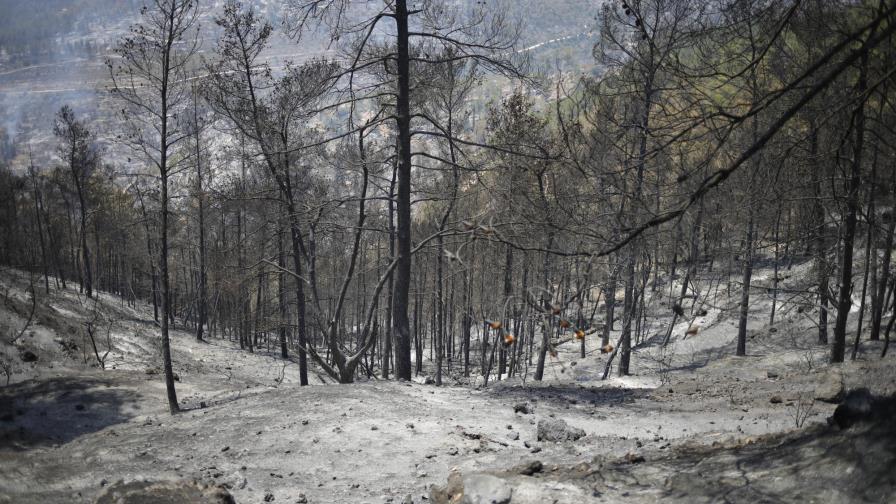Bomberos controlan un incendio cerca de Jerusalén