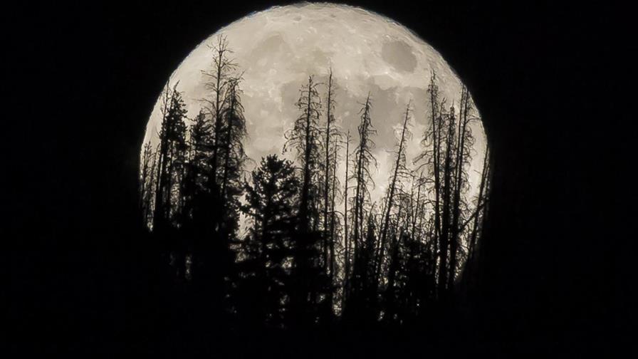Superluna ilumina los cielos esta semana