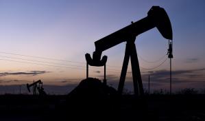 Presionan para dejar de invertir en combustibles f&oacute;siles