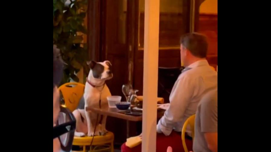 Un hombre y su especial cita es lo más tierno que verás hoy