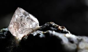 Un agricultor se vuelve rico tras desenterrar diamante de 13 quilates