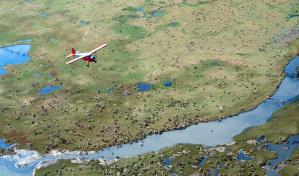EEUU aprueba buscar petróleo en refugio silvestre de Alaska