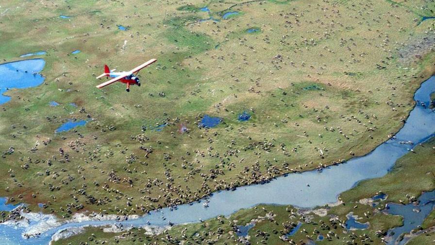 EEUU aprueba buscar petróleo en refugio silvestre de Alaska EEUU aprueba buscar petróleo en refugio silvestre de Alaska