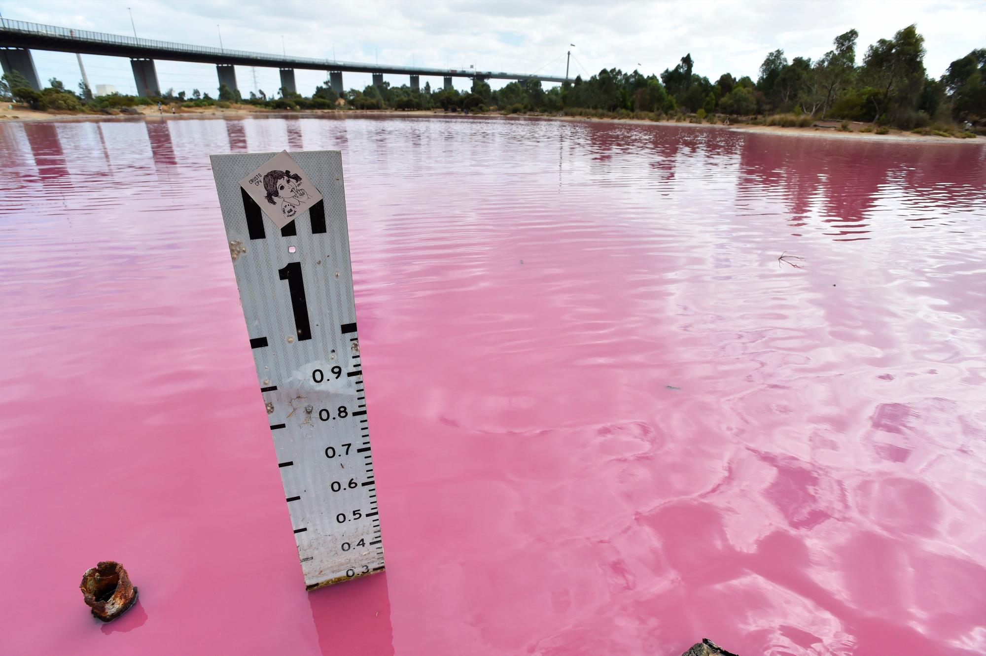 MELBOURNE (AUSTRALIA), 26/03/2019.- El lago rosa del parque de Westgate, este martes, en Melbourne (Australia). El lago adopta un color rosado cuando suben las temperaturas debido al alto porcentaje de sal y se ha convertido en un popular destino turístico.