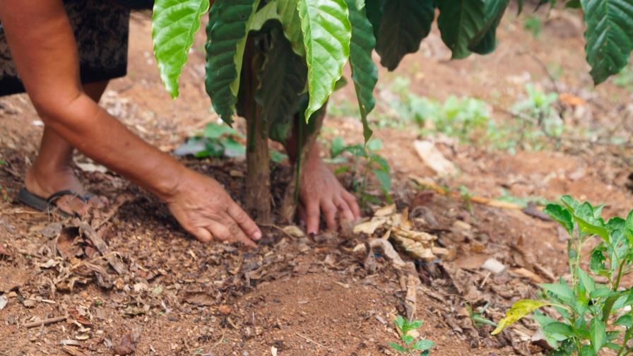 Comercio y administración pública fueron los que más generaron empleos