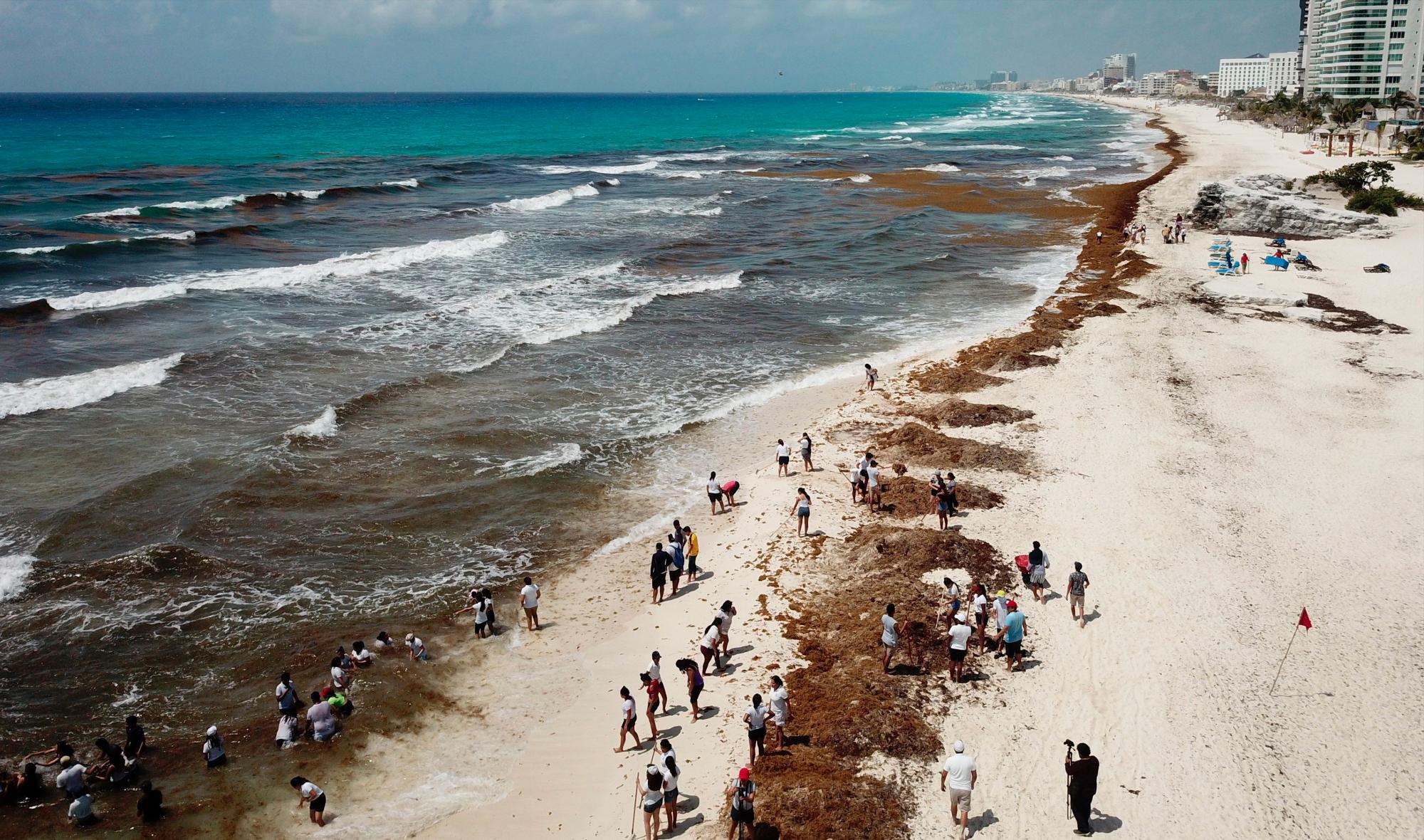 Imagen de la zona hotelera de Cancún, México, con recale masivo de sargazo, el 22 de mayo de 2019.