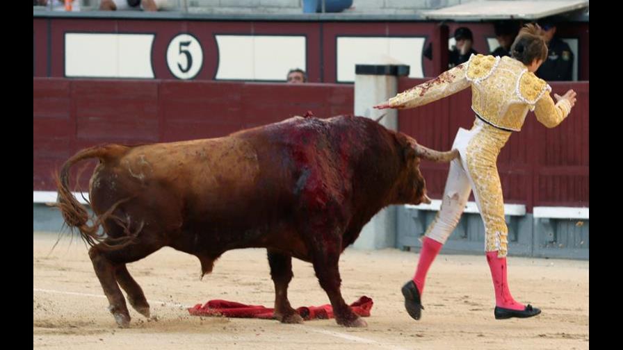 Toro levantó por los aires a su matador