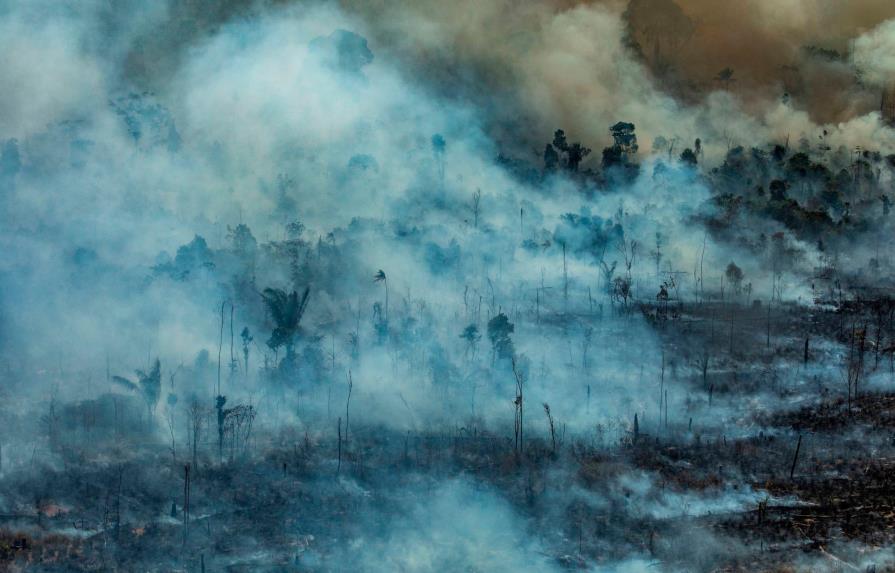 ¿Por qué arde una parte de la Amazonía?