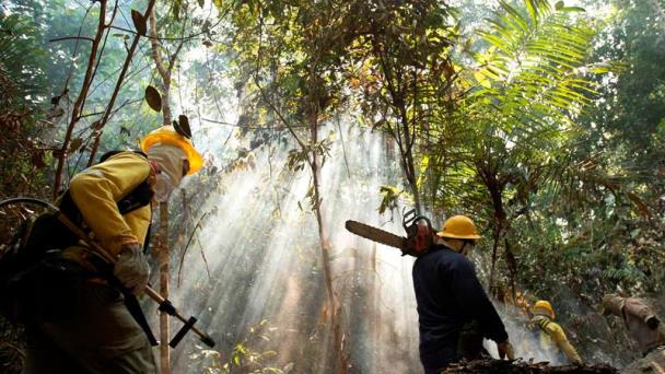 La tensa y peligrosa lucha contra la minería ilegal en el corazón de Amazonía