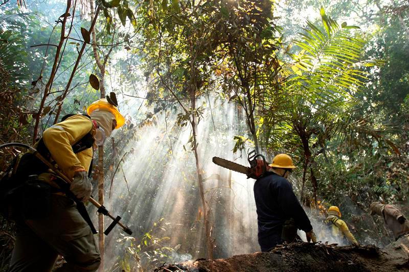 La tensa y peligrosa lucha contra la minería ilegal en el corazón de Amazonía