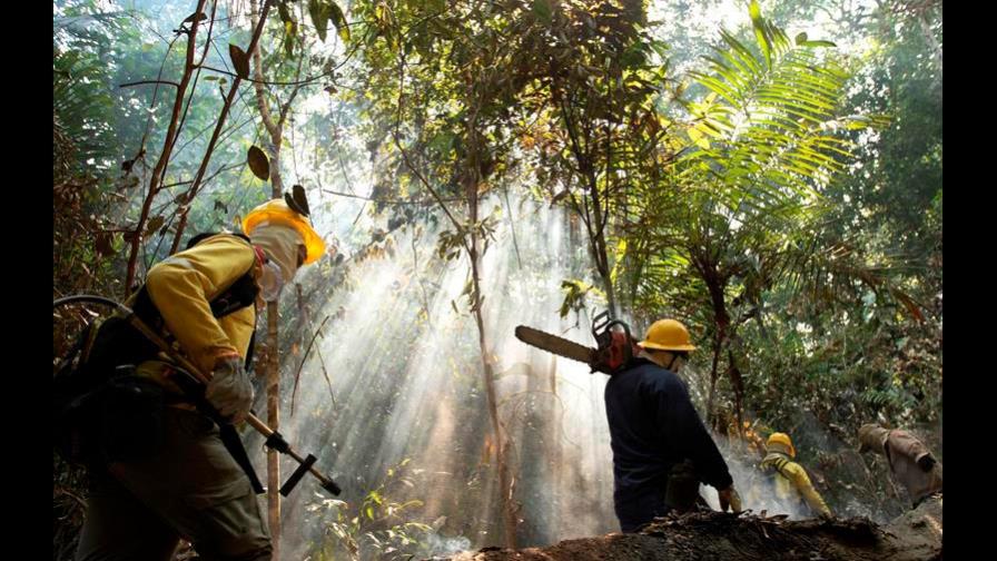 La tensa y peligrosa lucha contra la minería ilegal en el corazón de Amazonía