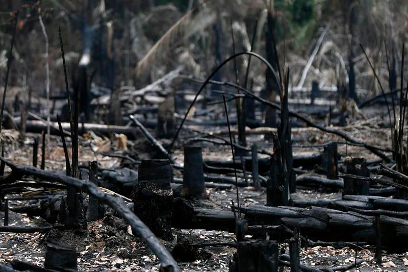 El Ejército llega al quinto municipio mas afectado por incendios en Brasil