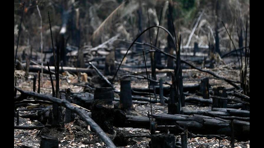 El Ejército llega al quinto municipio mas afectado por incendios en Brasil El Ejército llega al quinto municipio mas afectado por incendios en Brasil