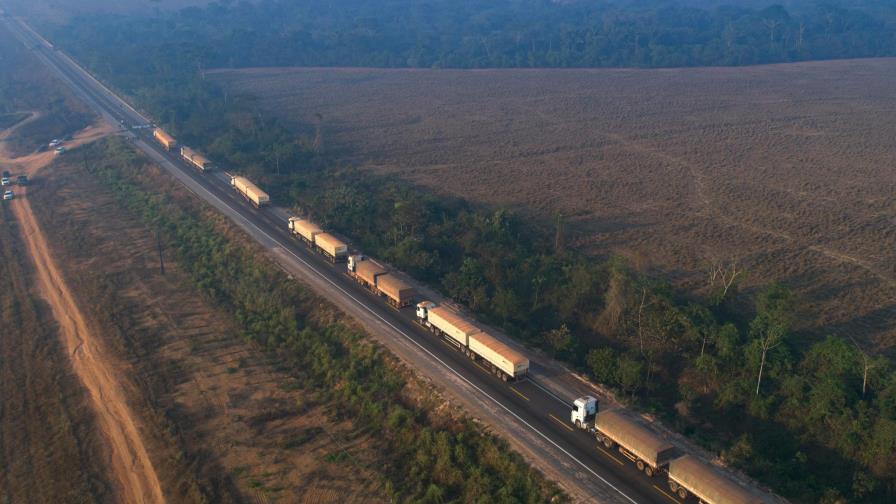 Brasil: No hay suspensión de protecciones amazónicas Brasil: No hay suspensión de protecciones amazónicas