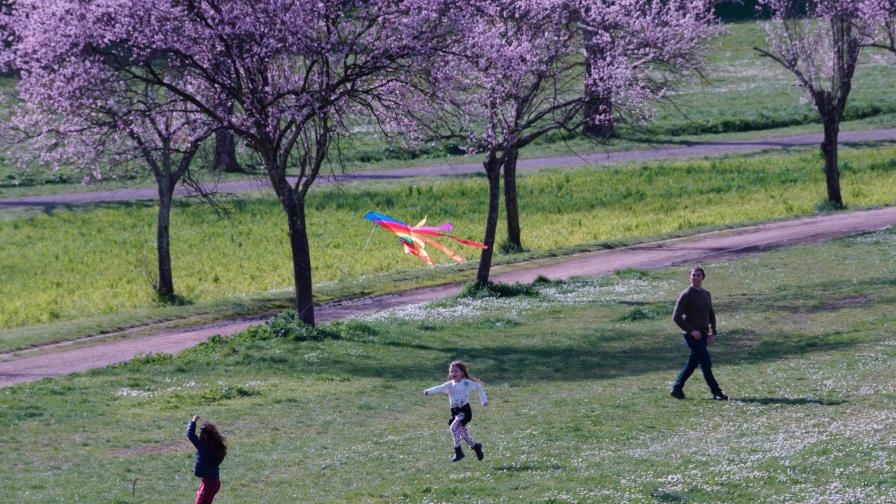 ¿El calor frenará al coronavirus? Nadie lo sabe ¿El calor frenará al coronavirus? Nadie lo sabe