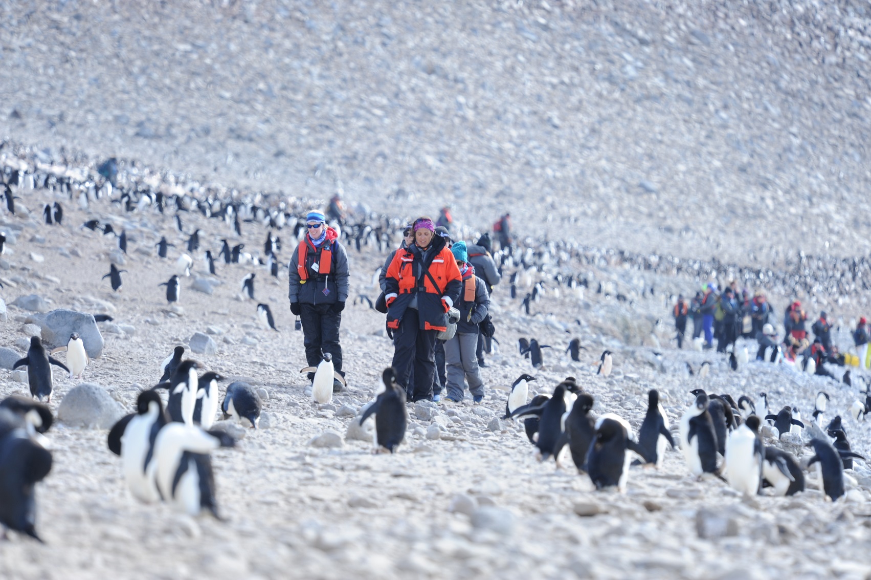 Líderes científicas del programa Homeward Bound visitan la isla Paulet, en la Antártida.