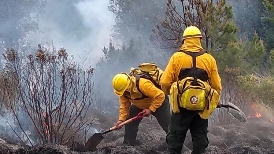 Australia vive uno de sus incendios forestales más graves en este siglo