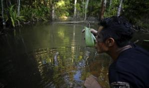 Indígenas armados patrullan tierras ancestrales en Brasil
