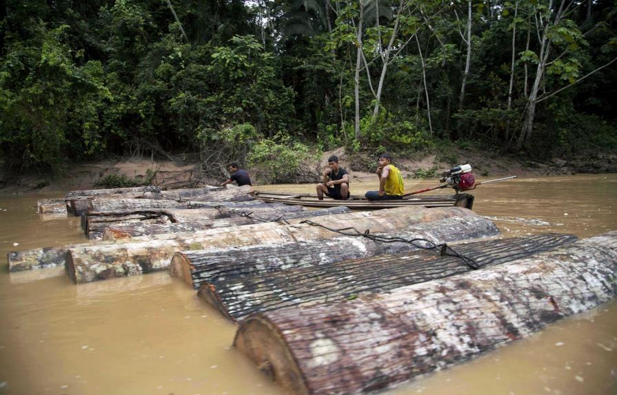 Perú acusa a madereros por crimen de ambientalistas