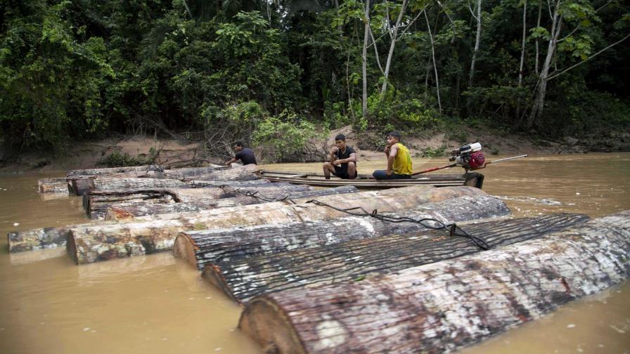 Perú acusa a madereros por crimen de ambientalistas