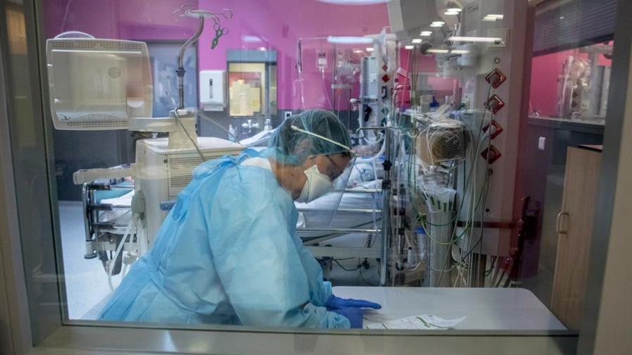 Una vacuna candidata de COVID-19 obtiene resultados prometedores en ratones Una vacuna candidata de COVID-19 obtiene resultados prometedores en ratones