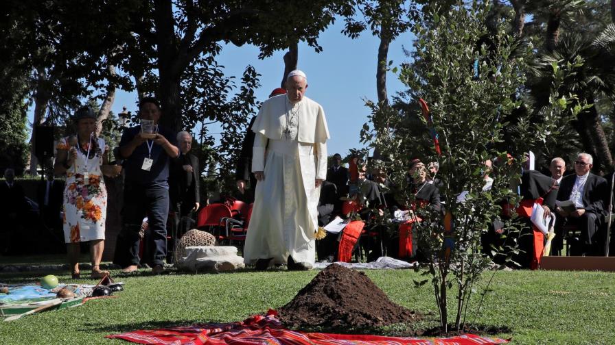 Papa Francisco: Usen la pandemia para dar un descanso a la Tierra