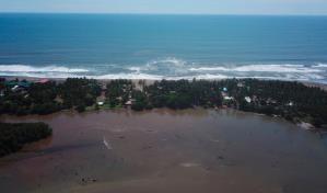 Una fórmula clave para salvar los ecosistemas marinos