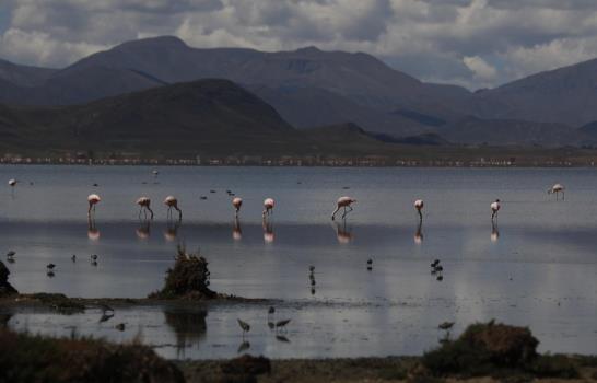 Parte de un lago en Bolivia esta cubierto con basura