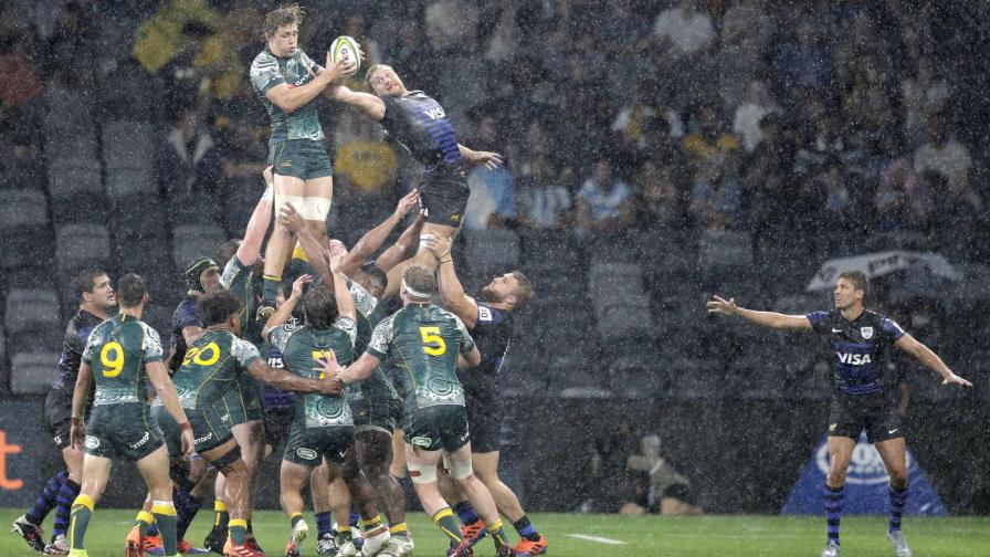 Australia y Argentina empatan 16-16 en el Tri-Nations Australia y Argentina empatan 16-16 en el Tri-Nations
