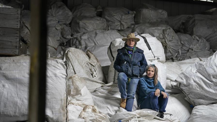 Marihuana legal, tabla de salvación para agricultores de Nueva York Marihuana legal, tabla de salvación para agricultores de Nueva York