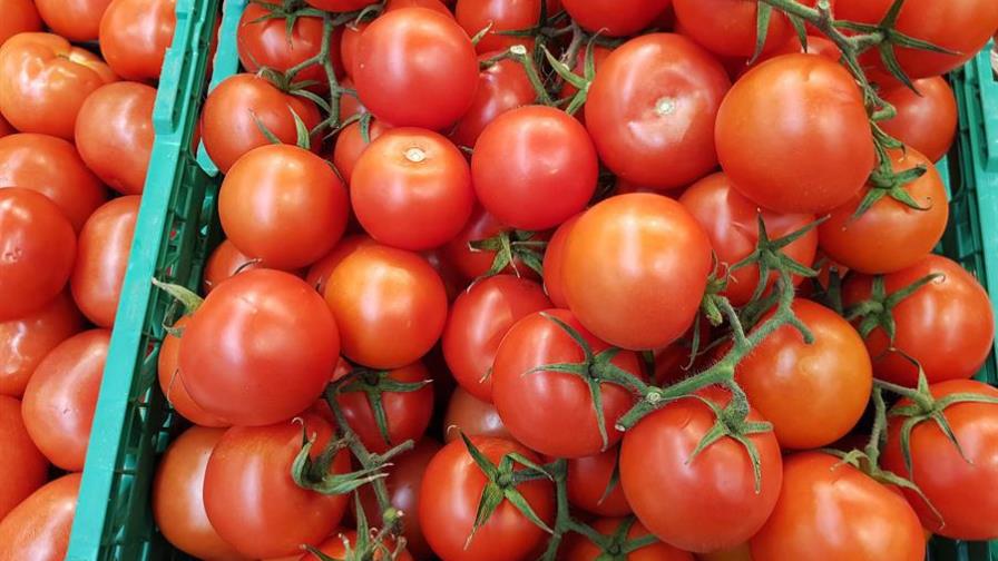 La ONU advierte del impacto del coronavirus en la cadena alimentaria europea
