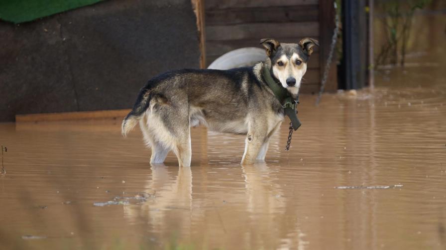 Evacuaciones y apagones en Bosnia por inundaciones súbitas