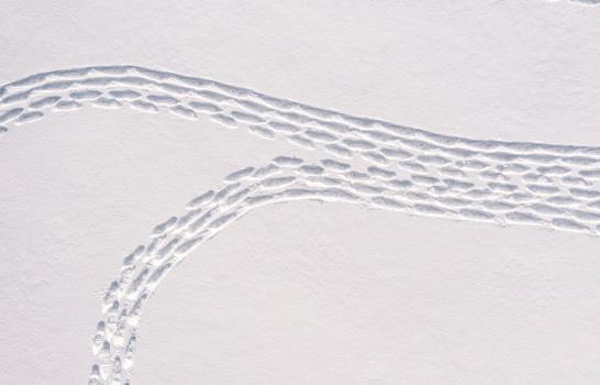 Con pisadas en la nieve crean obra de arte en Finlandia