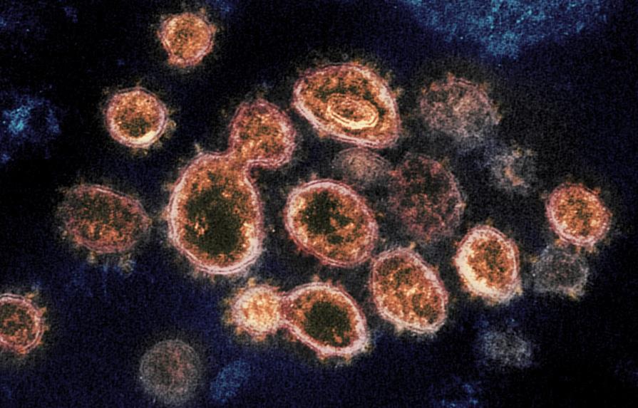 Nueva variante de coronavirus llega a EEUU