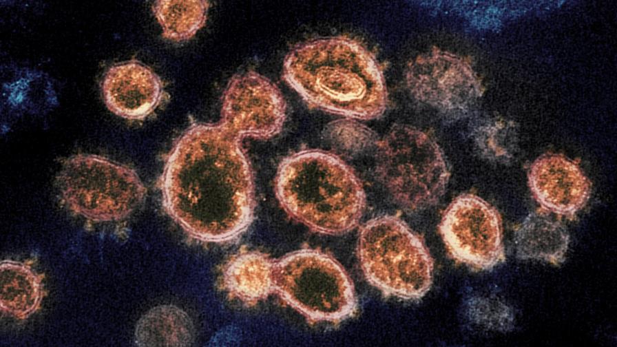 Nueva variante de coronavirus llega a EEUU