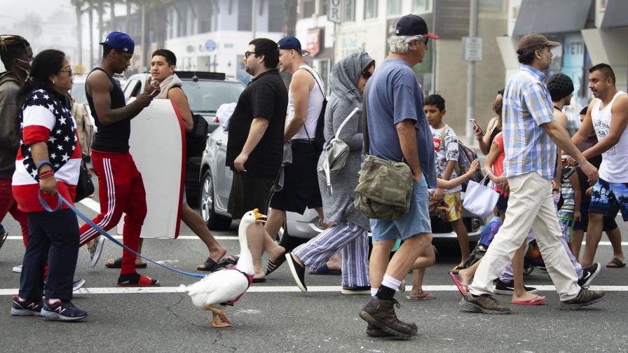 Los gobiernos buscan su vía de reapertura tras el virus