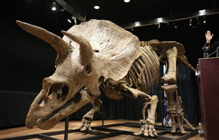 Subastan triceratops en 7,7 millones de dólares en París