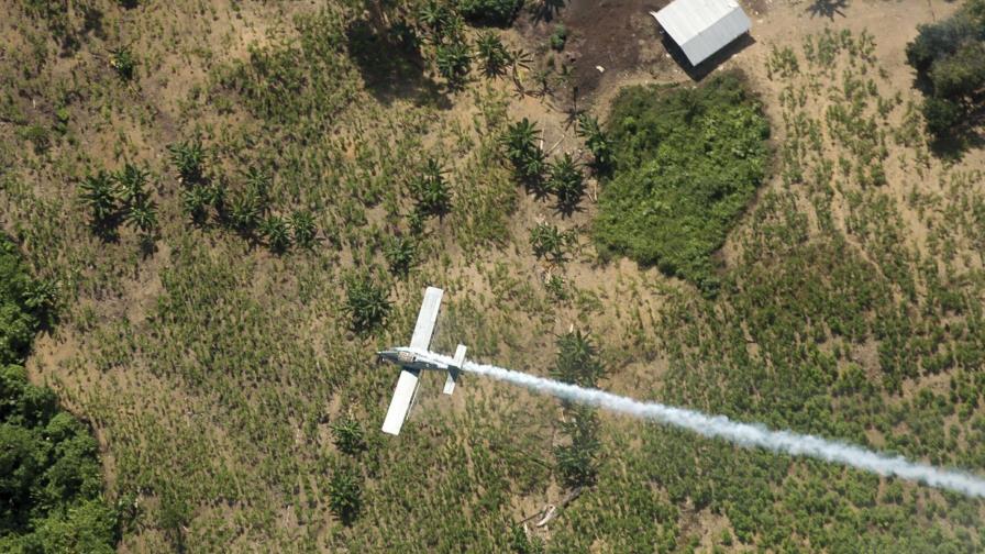 Colombia da un nuevo paso para fumigar la coca con glifosato