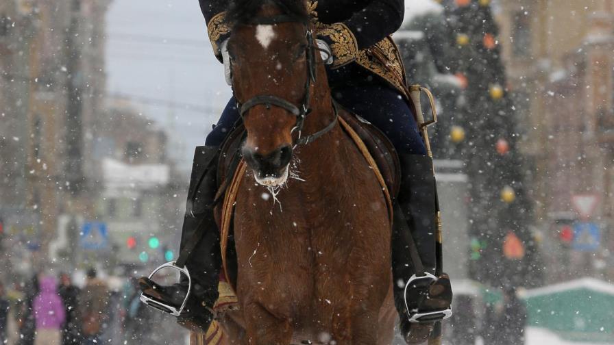 Hallan a profesor ruso con mochila con brazos descuartizados Hallan a profesor ruso con mochila con brazos descuartizados