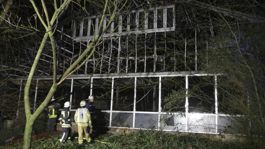 Incendio mata a más de 30 animales en zoo de Alemania