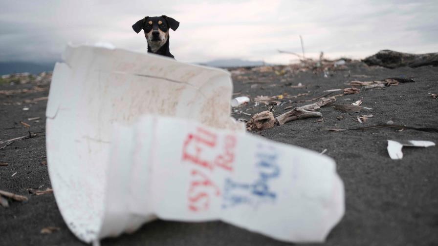 Indígenas proponen conocimiento tradicional como ayuda ante crisis climática Indígenas proponen conocimiento tradicional como ayuda ante crisis climática