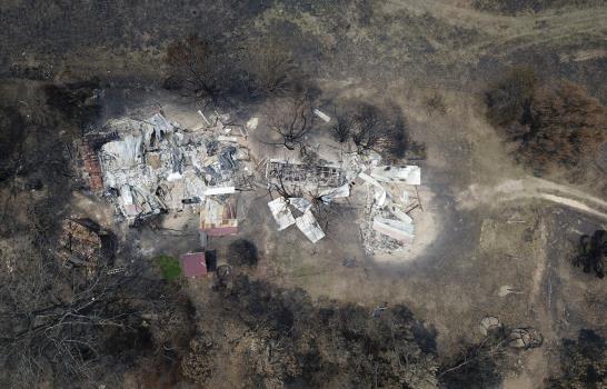 Australia-Incendios: No se rinde y sigue buscando a su perro