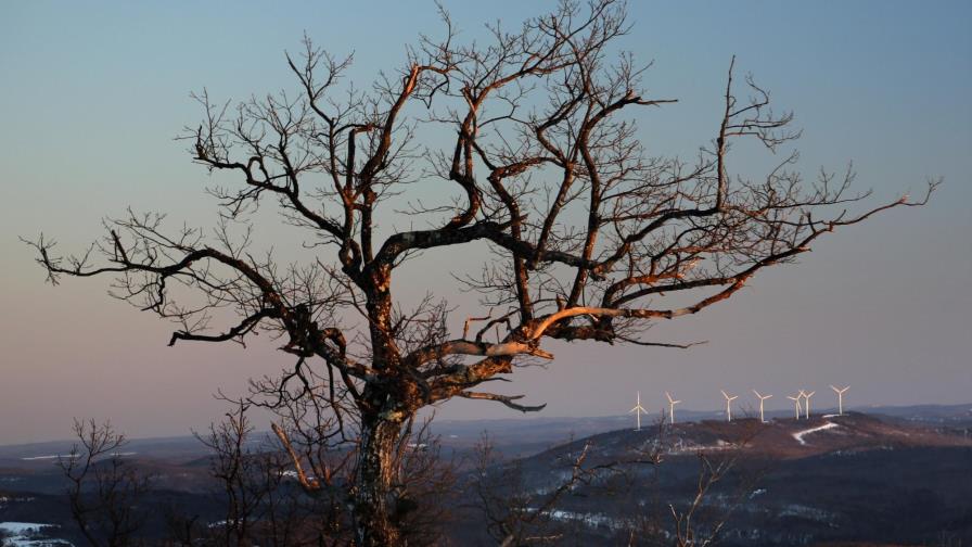 Crisis de clima y biodiversidad deben combatirse juntas
