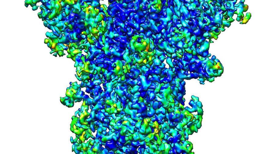 Nuevas técnicas de imagen en 3D mejoran el conocimiento del coronavirus