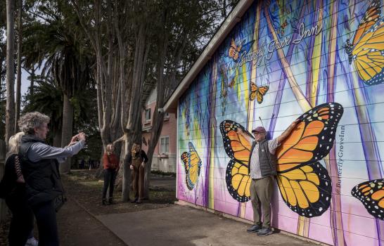 Mariposas monarcas dan nuevas señales de vida