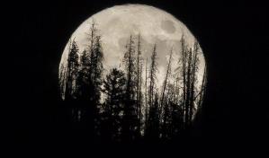 Una superluna ilumina los cielos esta semana