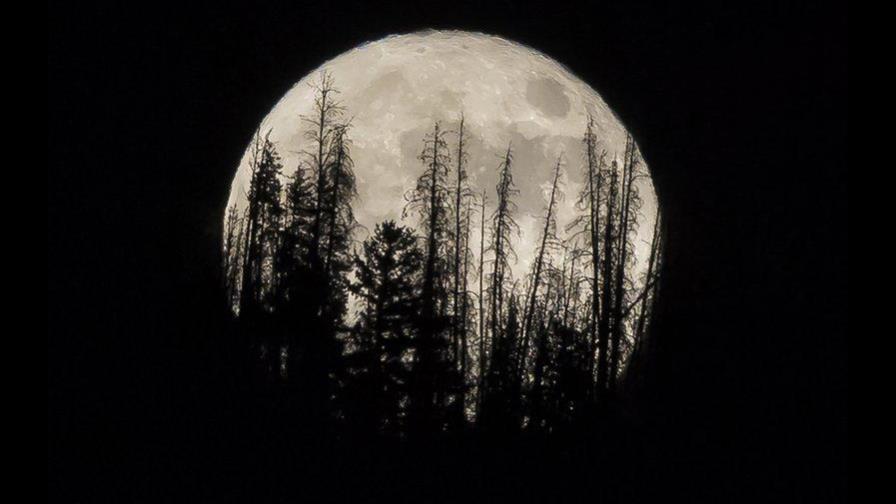 Una superluna ilumina los cielos esta semana