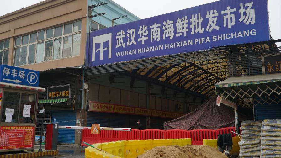 China: Virus renueva preocupación sobre animales silvestres China: Virus renueva preocupación sobre animales silvestres
